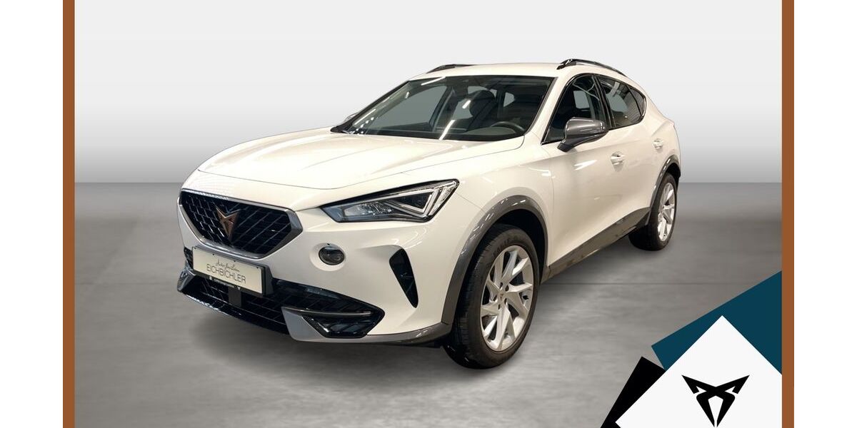 Cupra Formentor 91.226 km 21.338 &euro; Landshut 84030