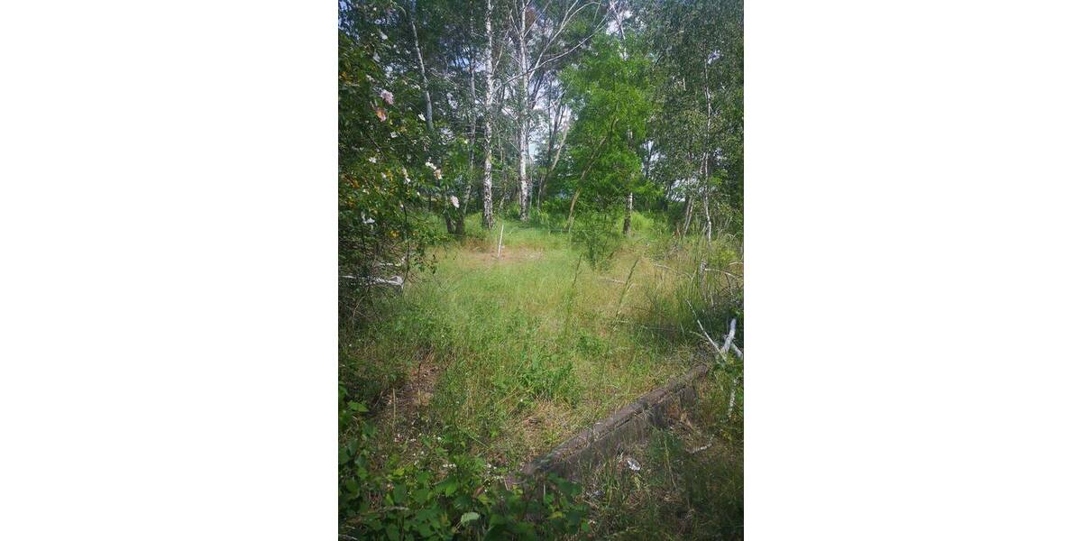 Grundstück Eilenburg - 2.999.000&euro; | Angebot:25958960