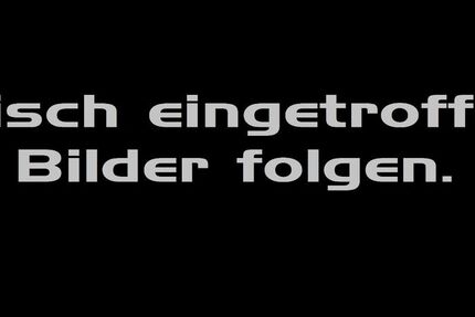 Cupra Terramar 11.058 km 39.944 € Rheine 48432