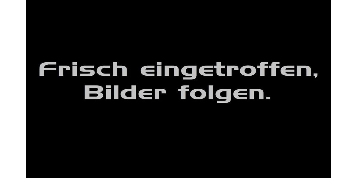 Cupra Terramar 11.058 km 39.944 € Rheine 48432