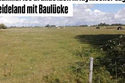 Grundstück Friedrichskoog - 129.000&euro; | Angebot:24498138