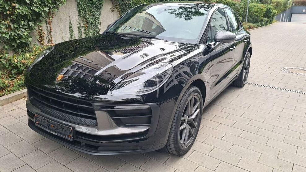 Macan