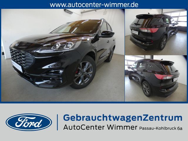 Kuga