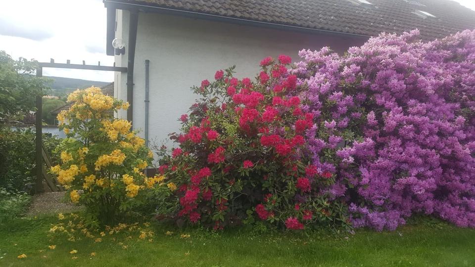 Einfamilienhaus Schnaittenbach - 6 Zimmer, 157 m&sup2;, 240.000&euro; | Angebot:26602755