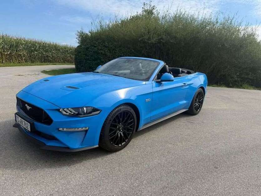 Mustang