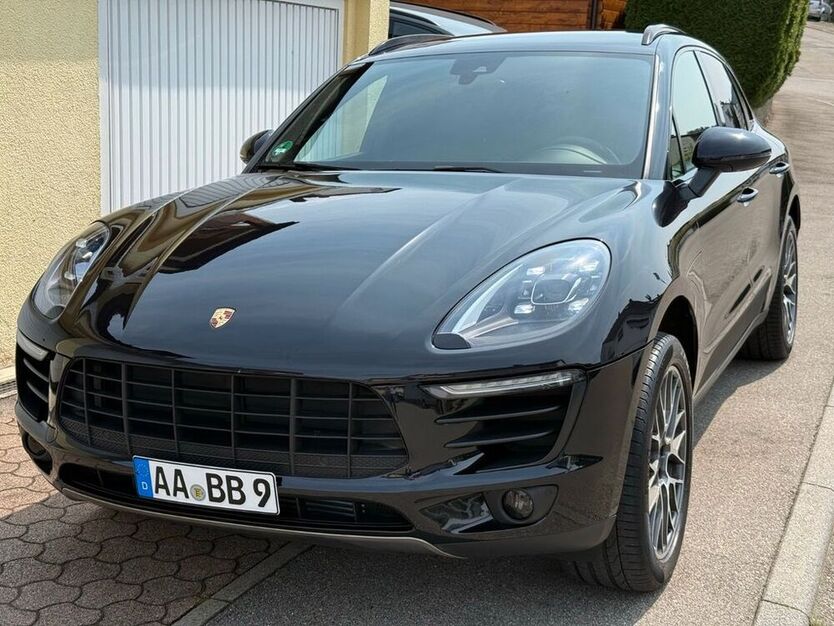Macan