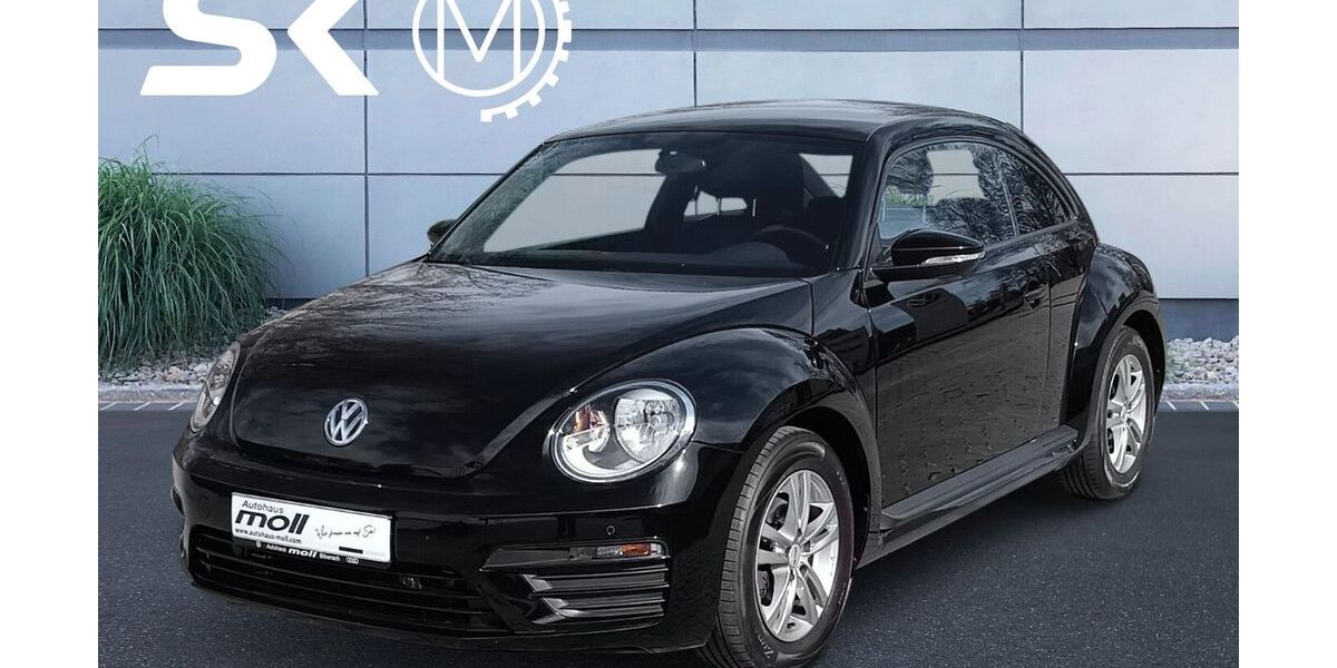 VW Beetle 113.645 km 13.666 &euro; Riedlingen 88499