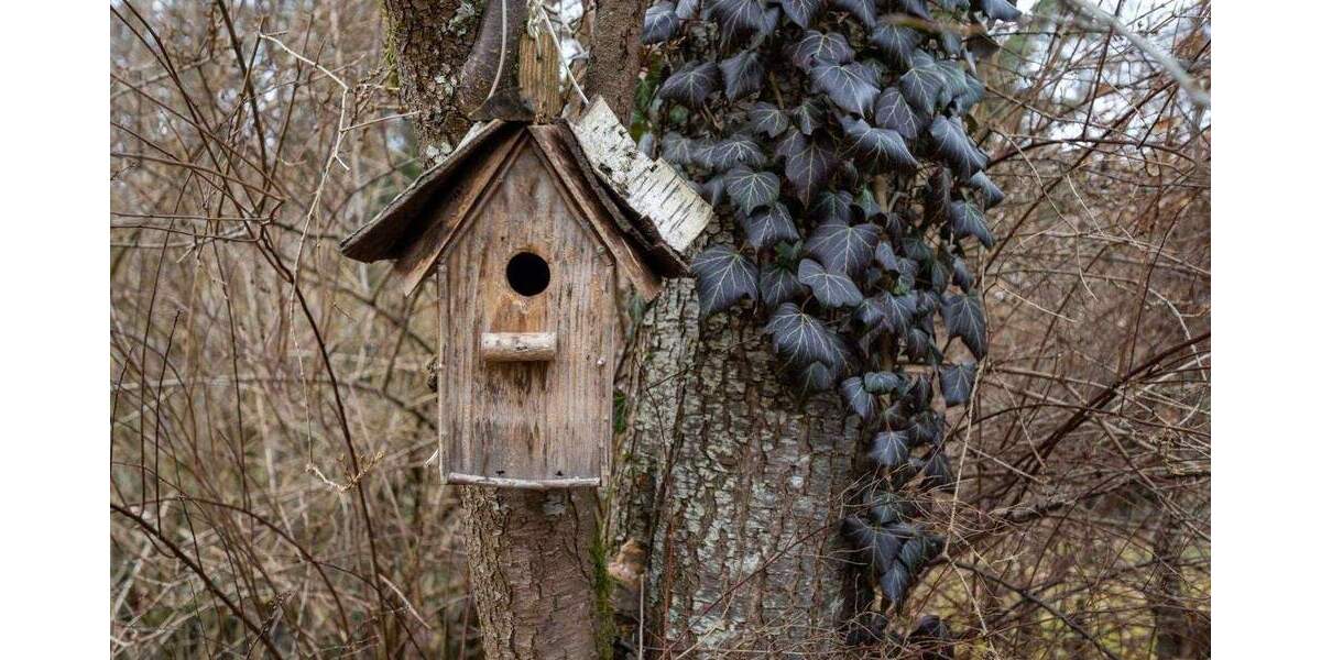 Doppelhaushälfte Vaterstetten Baldham - 5 Zimmer, 110 m&sup2;, 875.000&euro; | Angebot:25782537