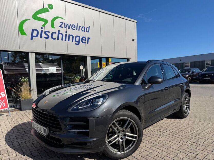 Macan