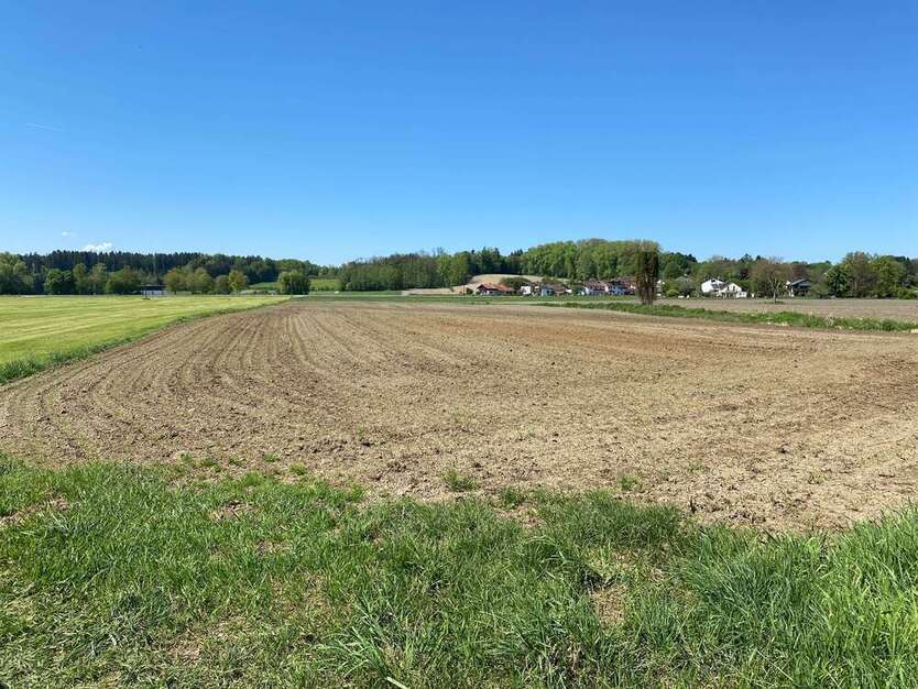 Grundstück in Schechen 190.000 € 10236 m²