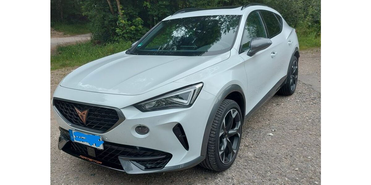 Cupra Formentor 41.600 km 28.600 &euro; Reutlingen 72770