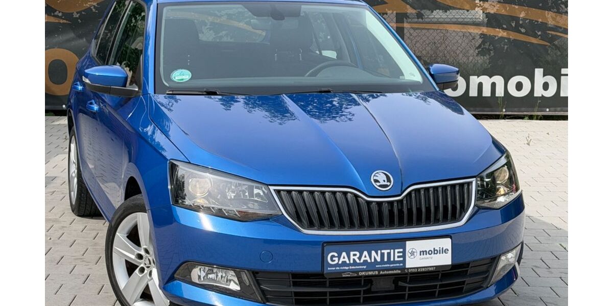Skoda Fabia 99.700 km 9.450 &euro; Rohrdorf 72229