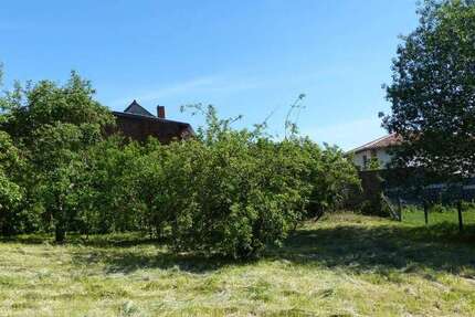 Grundstück Levitzow Levitzow - 45.000&euro; | Angebot:25193060