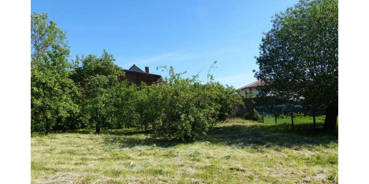 Grundstück Levitzow Levitzow - 45.000&euro; | Angebot:25193060