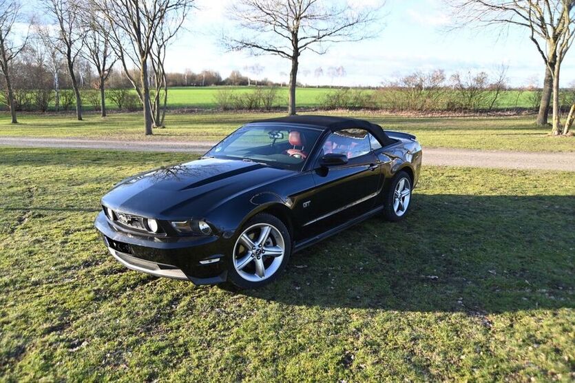 Mustang