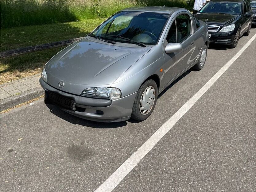 Tigra