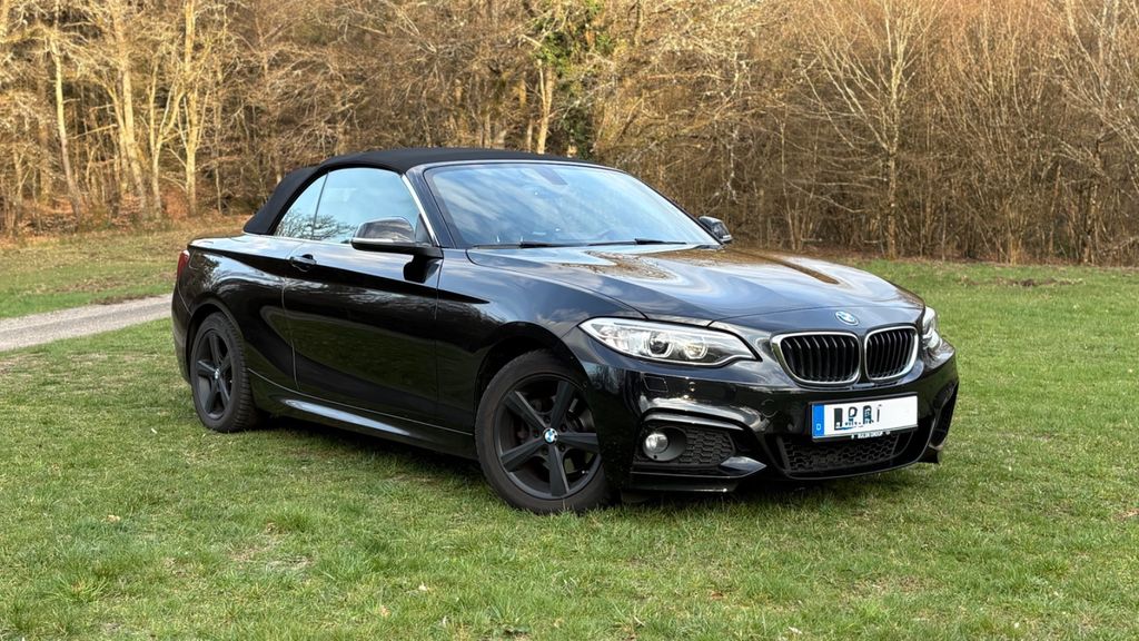 BMW 218 110.000 km 18.990 &euro; Lemberg 66969