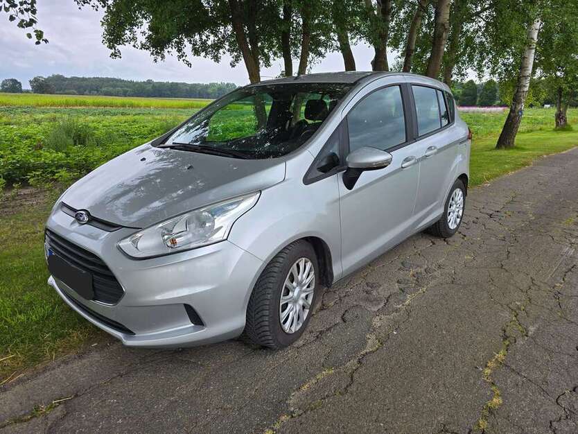 B-Max