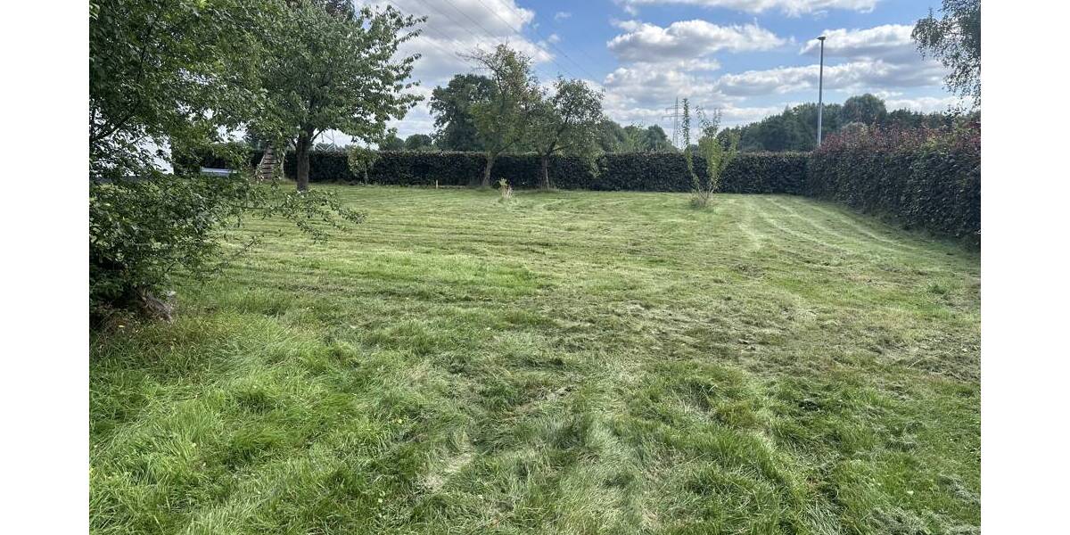 Grundstück Neuenkirchen - 70.000&euro; | Angebot:25776991