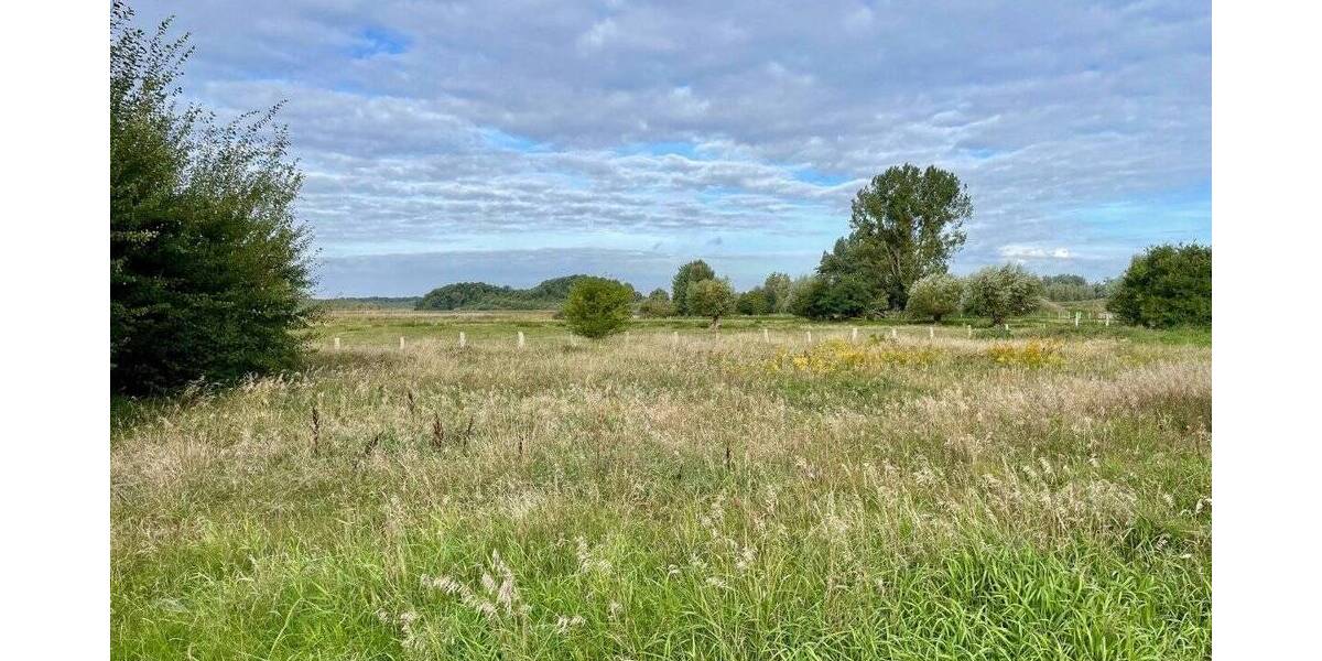 Grundstück Rechlin - 220.000&euro; | Angebot:23955049