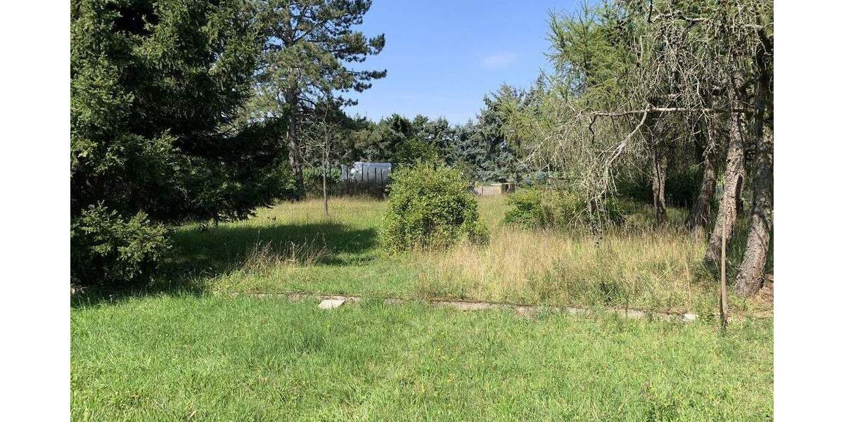 Grundstück Moritzburg / Friedewald Friedewald - 795.000&euro; | Angebot:24723175