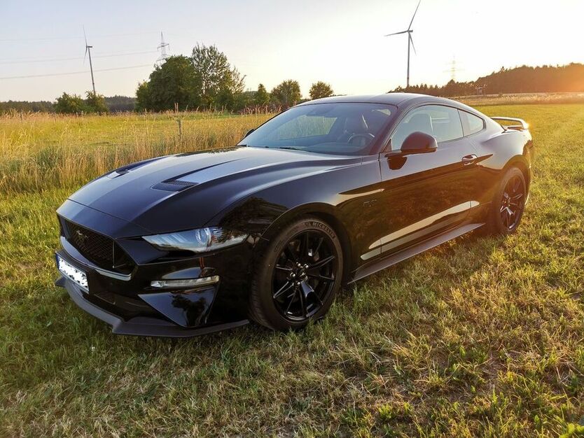 Mustang