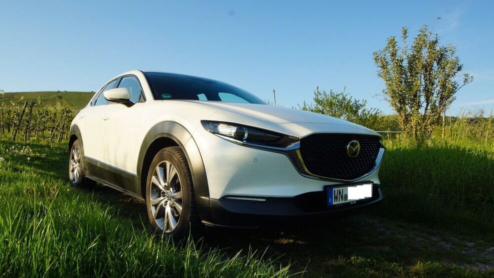 CX-30