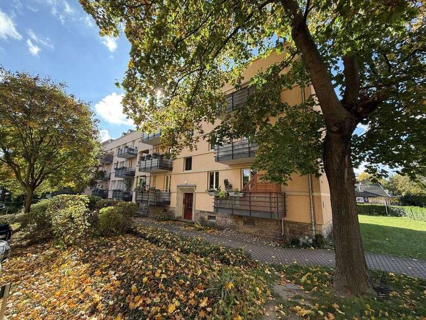 Wohnung zum Kaufen in Dresden 245.000 € 76.92 m² 3 zimmer