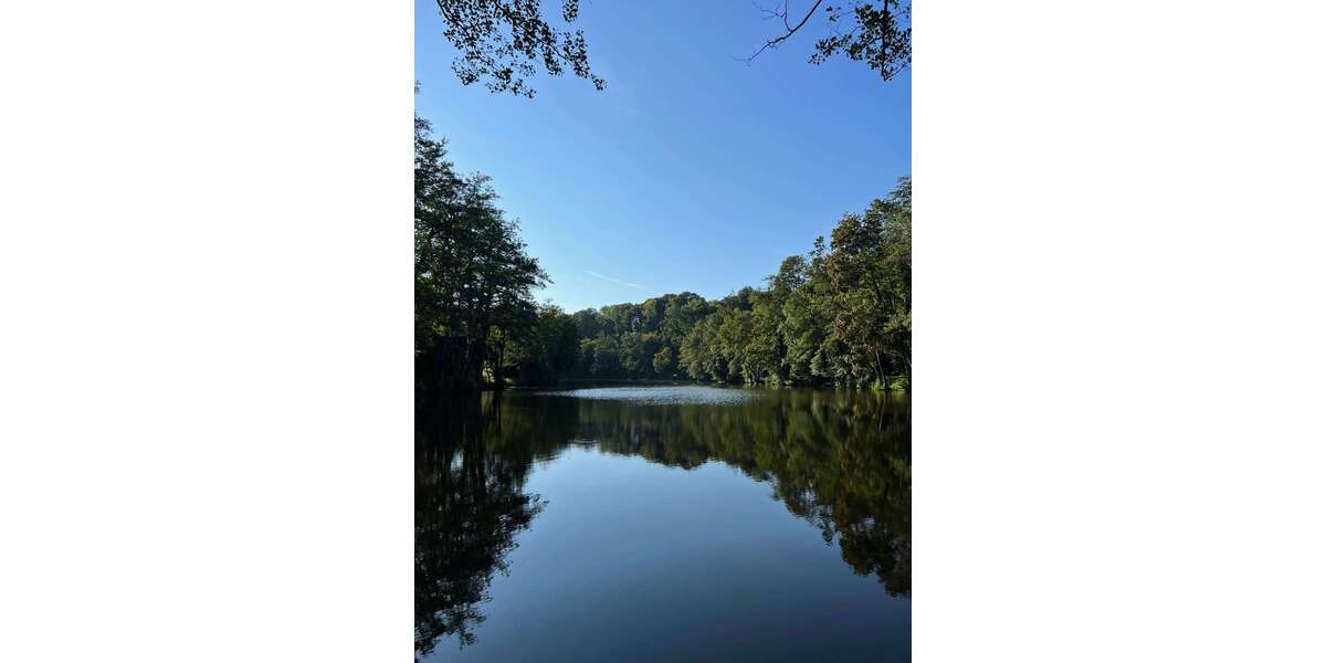 Grundstück Ebersberg - 1.000.000&euro; | Angebot:23954639