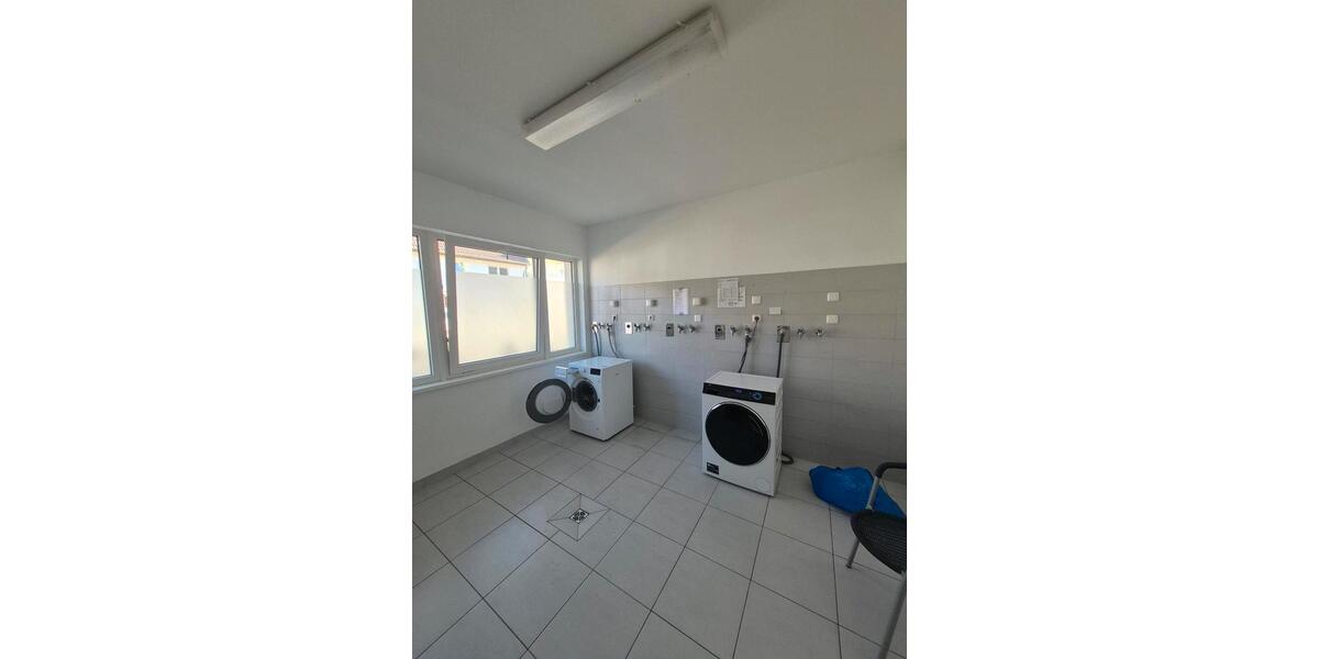 Etagenwohnung Greifswald - 1 Zimmer, 23 m&sup2;, 392&euro; | Angebot:26404678