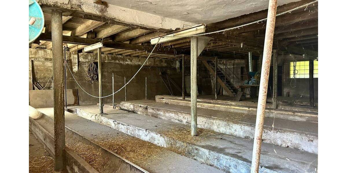 Bauernhaus, Landhaus Öhringen / Obermaßholderbach Obermaßholderbach - 4 Zimmer, 110 m&sup2;, 590.000&euro; | Angebot:26833696