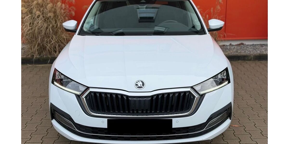 Skoda Octavia 230.000 km 15.900 &euro; Schutterwald 77746