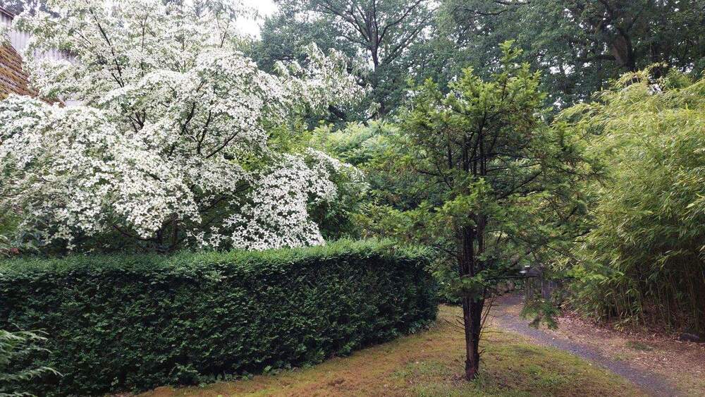 Etagenwohnung Schneverdingen Wintermoor an der Chaussee - 2 Zimmer, 82 m&sup2;, 820&euro; | Angebot:24835487