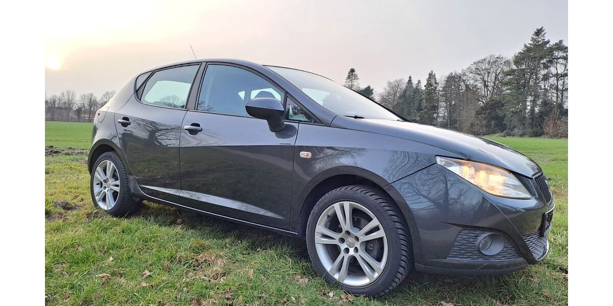 Seat Ibiza 93.950 km 3.990 &euro; Beelen 48361
