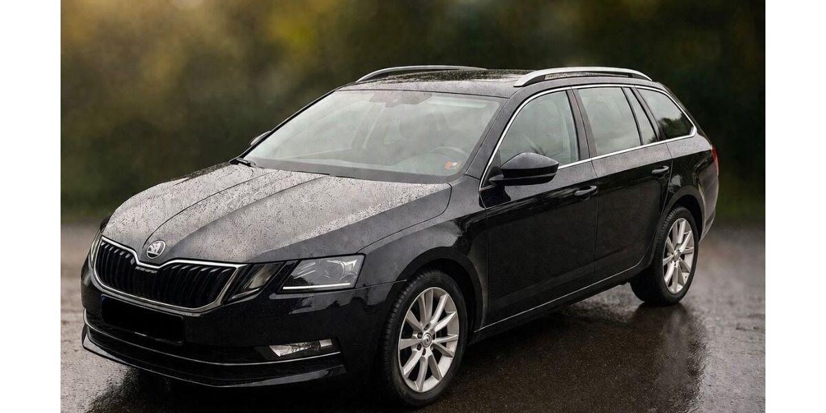 Skoda Octavia 194.010 km 10.600 &euro; Bobitz 23966