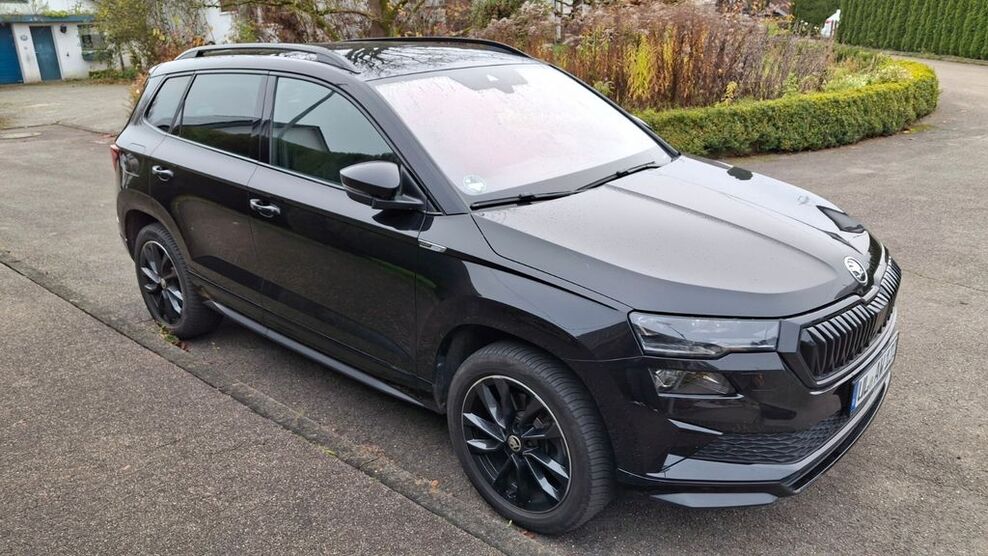 Skoda Karoq 41.000 km 32.199 € Erbach 89155
