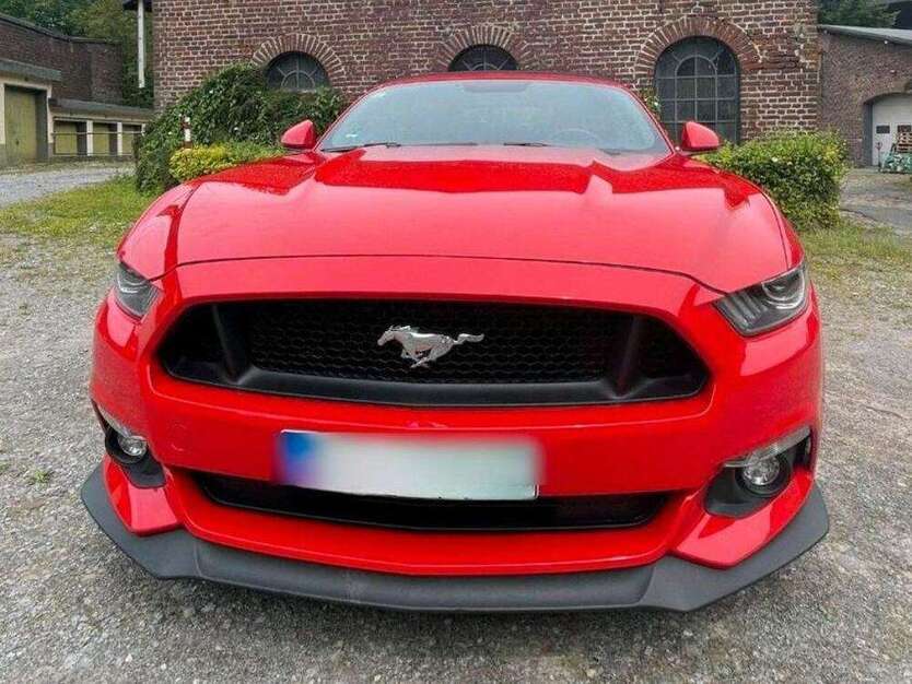 Mustang