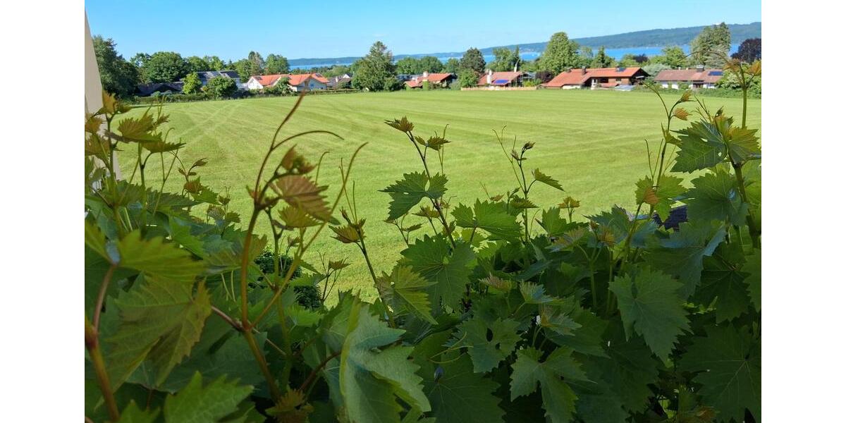 Etagenwohnung Dießen am Ammersee - 1 Zimmer, 15 m&sup2;, 490&euro; | Angebot:21854011