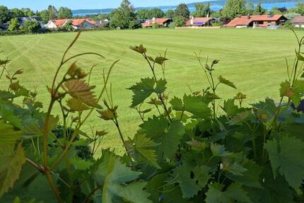 Wohnung Dießen am Ammersee - 1 Zimmer, 15 m&sup2;, 590&euro; | Angebot:21854011