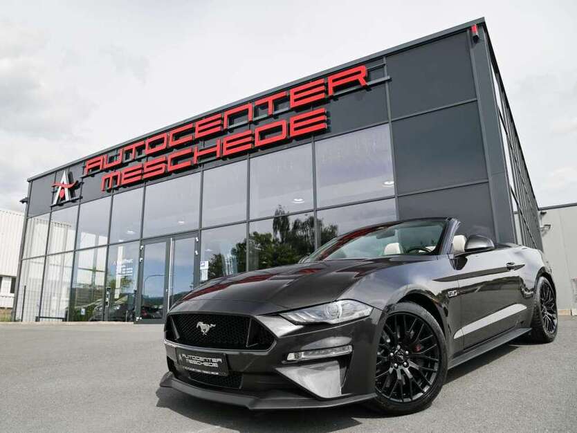 Mustang