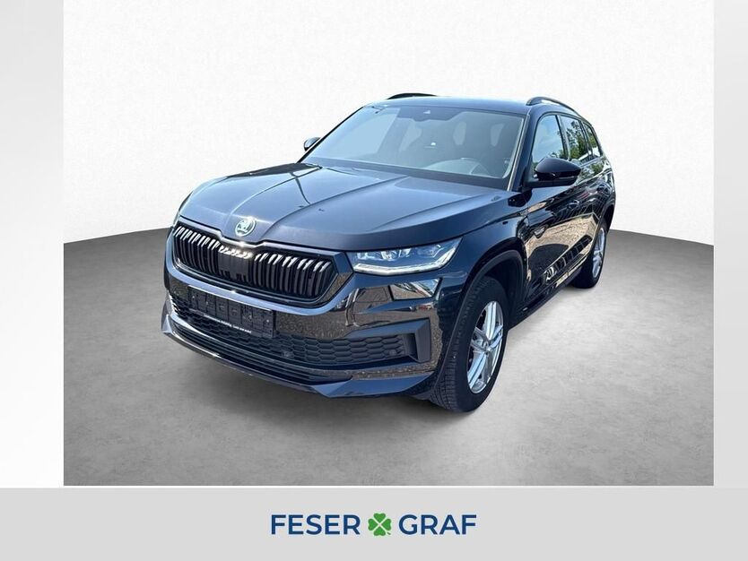 Skoda Kodiaq 162.400 km 25.490 € Roth 91154