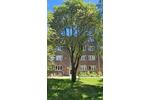 Hochparterre Bremen Östliche Vorstadt - 2 Zimmer, 65 m&sup2;, 219.000&euro; | Angebot:26866561