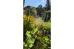 Einfamilienhaus Eisenhüttenstadt - 390.000&euro; | Angebot:25793150