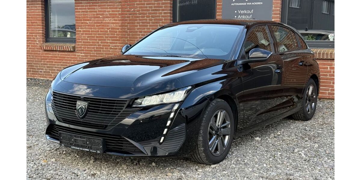 Peugeot 308 44.300 km 18.280 &euro; Handewitt 24976