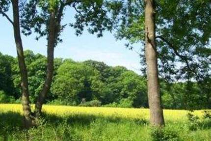 Grundstück Ballenstedt Opperode - 18.000&euro; | Angebot:24543837