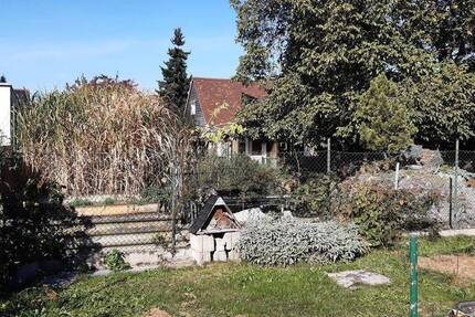 Bauen im Grünen zimmer