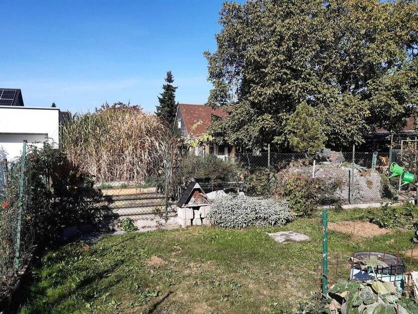 Bauen im Grünen zimmer