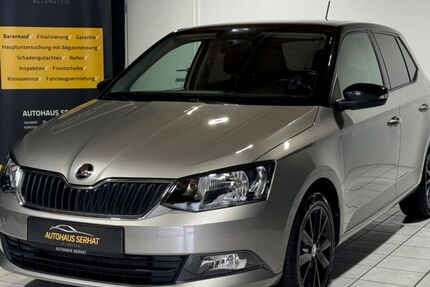 Skoda Fabia 41.000 km 10.490 &euro; Altensteig 72213