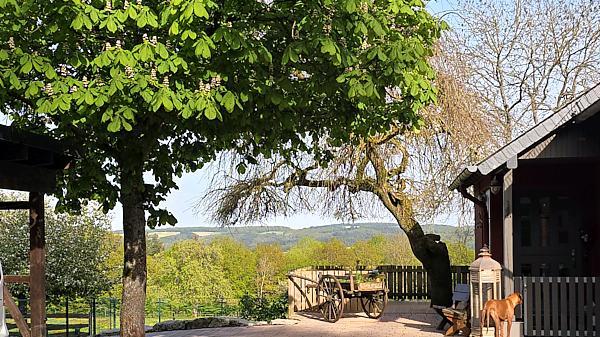 Einfamilienhaus Kirn - 12 Zimmer, 350 m&sup2;, 2.590.000&euro; | Angebot:26940680