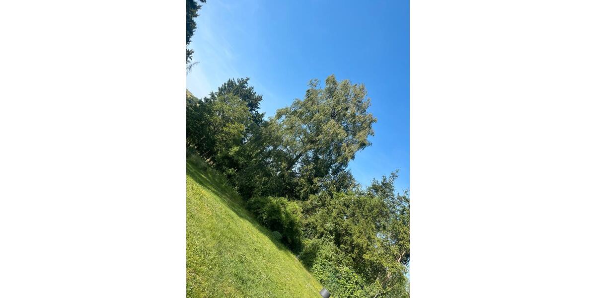 Einfamilienhaus Mandelbachtal - 4 Zimmer, 174 m&sup2;, 370.000&euro; | Angebot:26765085